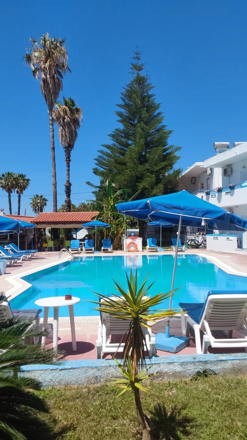 Day, Bird's eye view, Pool view, Swimming pool, sunbed