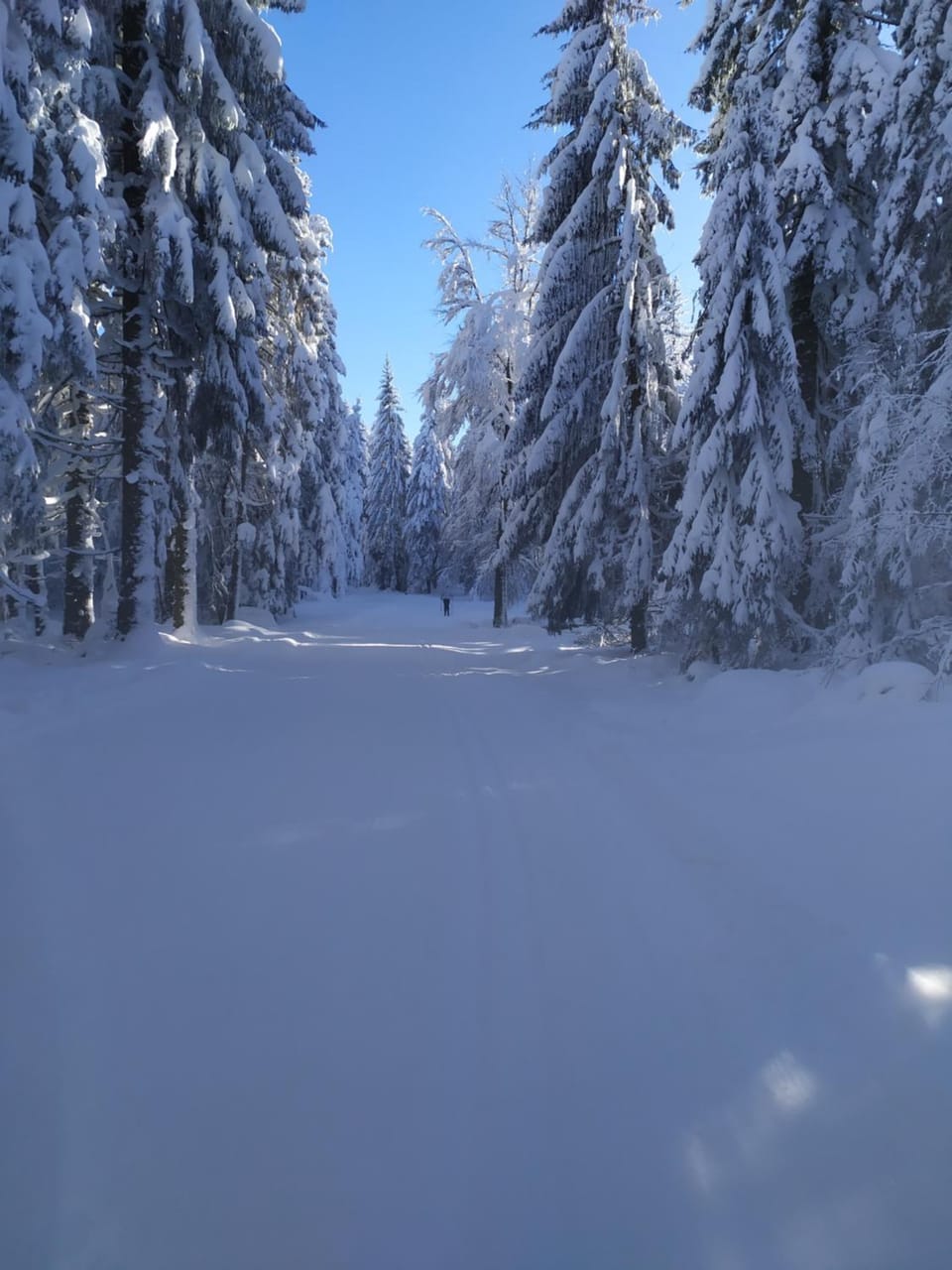 Skiing