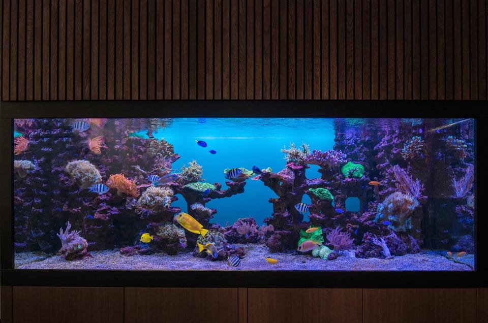 Lobby or reception, Animals
