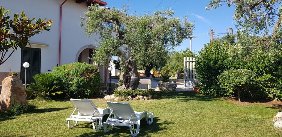 Villa Stella - Salento Puglia House in Province of Taranto