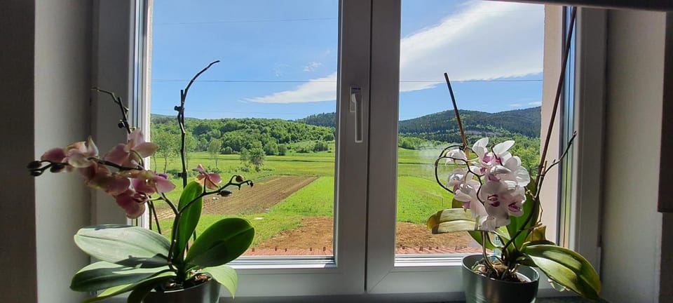 Library, View (from property/room), Kitchen or kitchenette, bidet