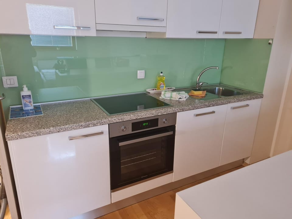 Kitchen or kitchenette, dishwasher, minibar, oven, pet friendly, pet friendly, stove, toaster