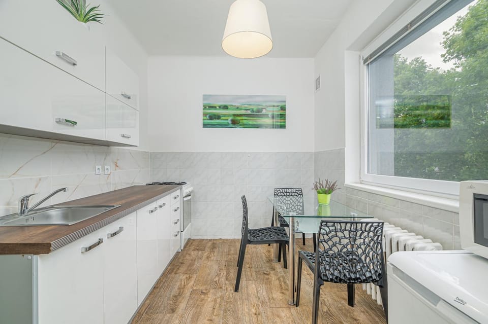 Apartmán Masarykova třída 61 Apartment in South Moravian Region