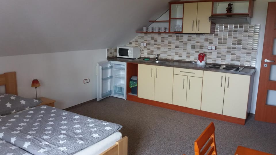 Bed, Kitchen or kitchenette, Photo of the whole room, Bedroom, stove