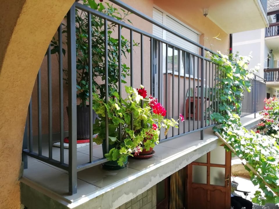 Sokobanja apartman Aviva Apartment in Serbia