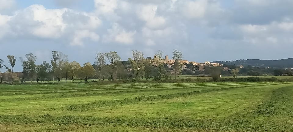 Happy Nest in Pals Village Apartment in Baix Empordà