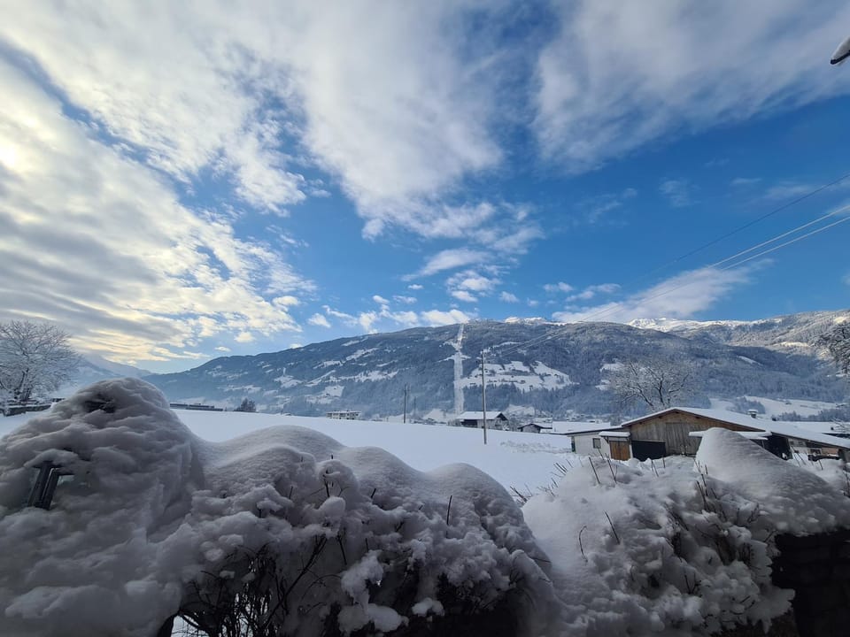 Staff, Winter