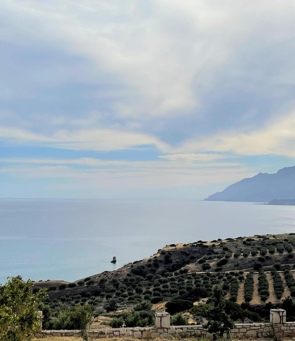 Blue Coast - Seaside Apartment Villa in Lasithi