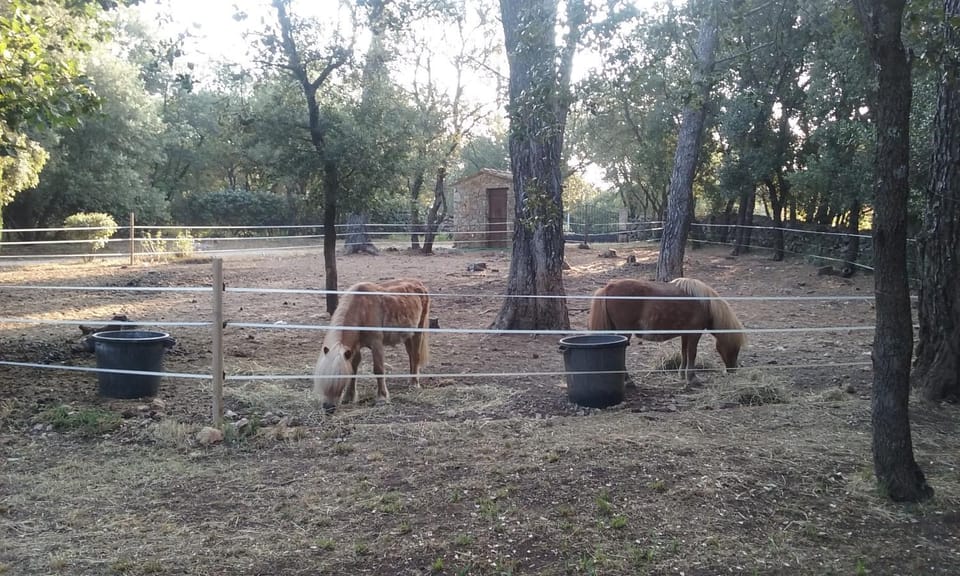 LES PAPILLONS House in Besse-sur-Issole