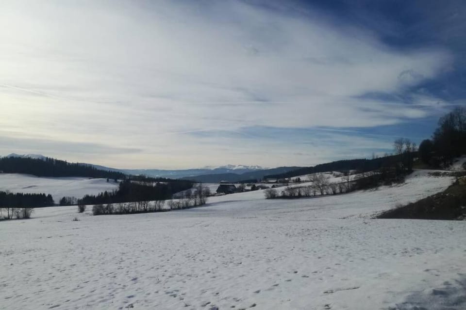 Natural landscape, Winter