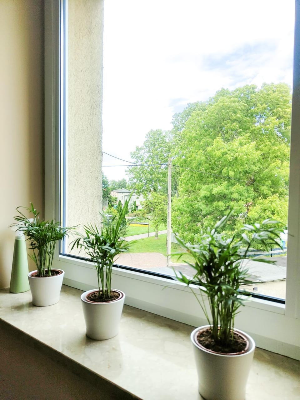 Day, Natural landscape, Garden, View (from property/room), Garden view