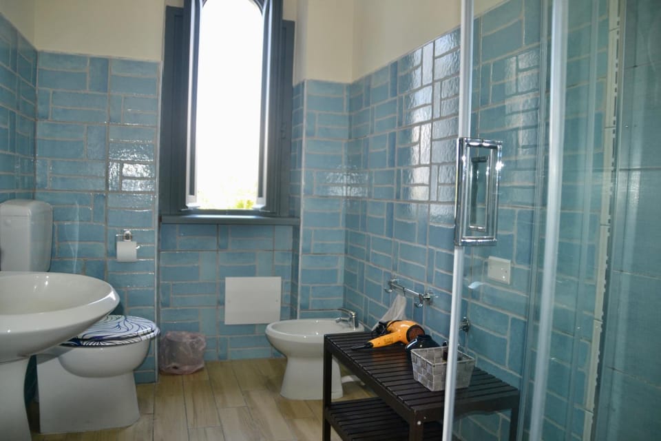 Shower, Toilet, Bathroom, bidet