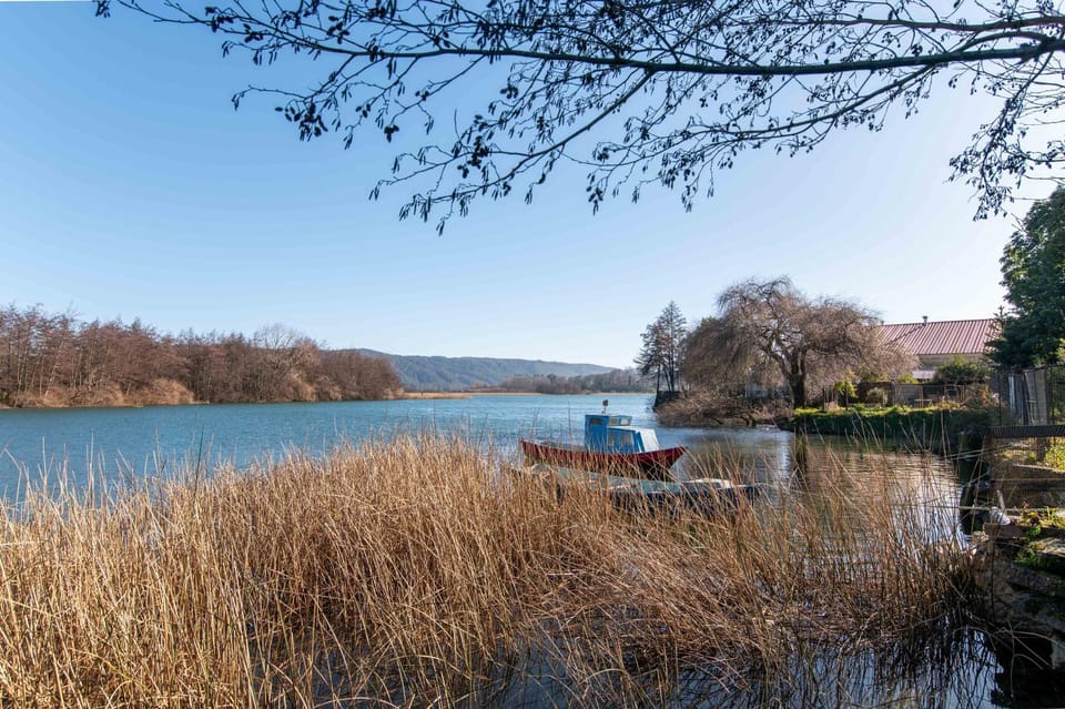 Day, Natural landscape, Activities, River view