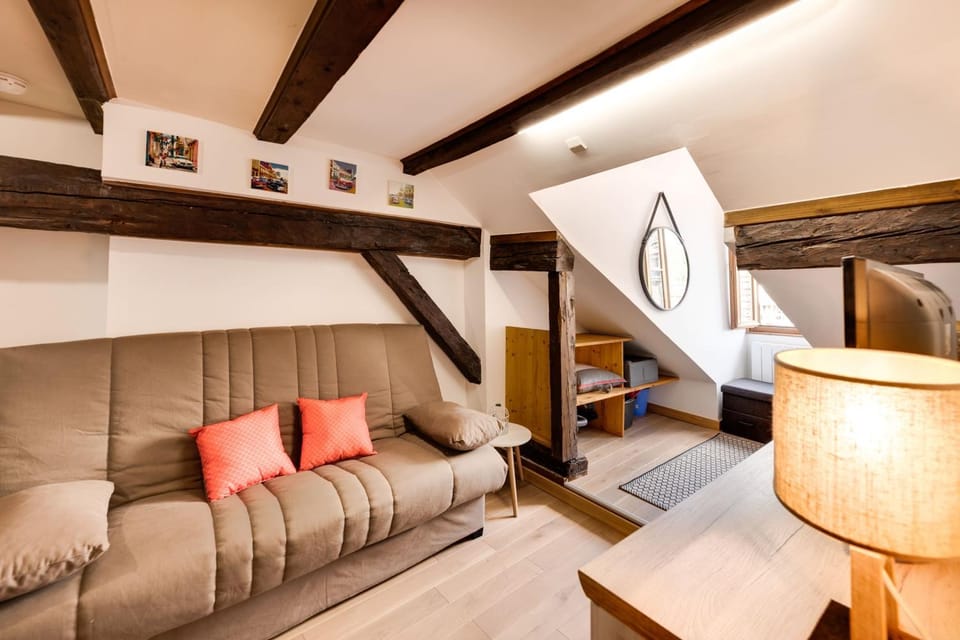 Le Cocooning - Small studio of 20 square meter in the heart of Annecy Apartment in Annecy