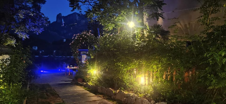 Night, Garden, Garden view