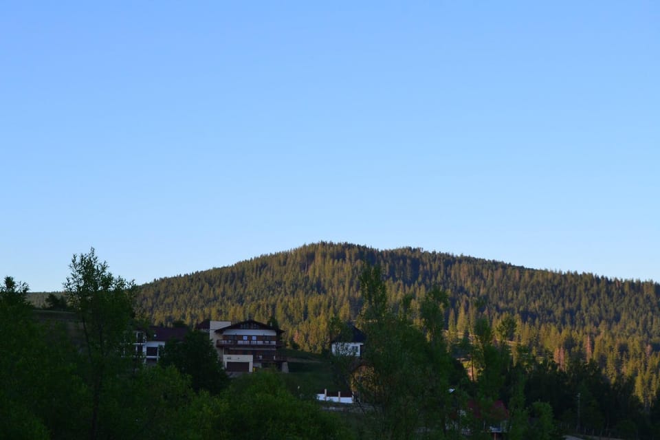 Neighbourhood