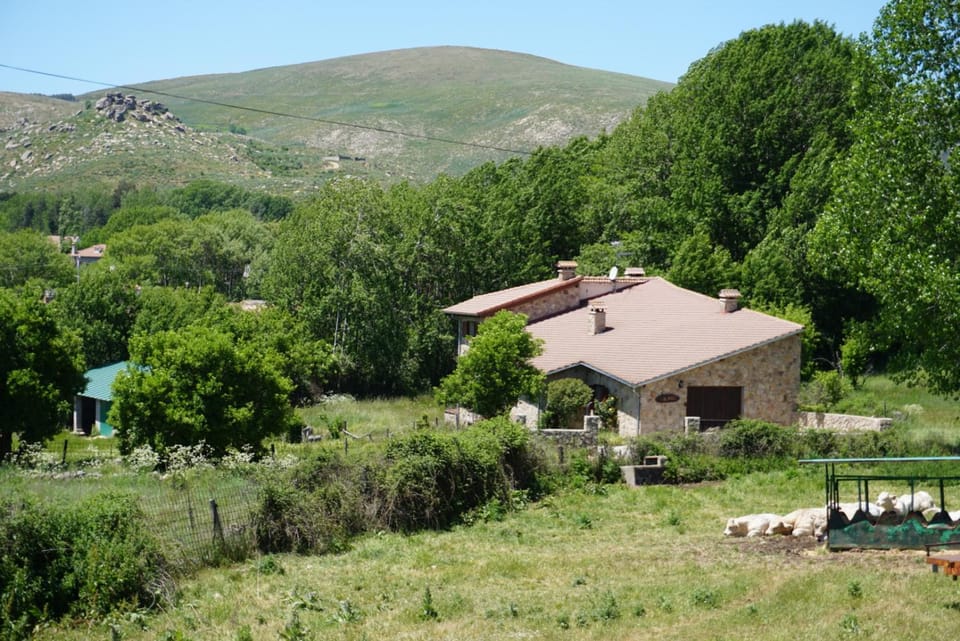 Property building, Natural landscape
