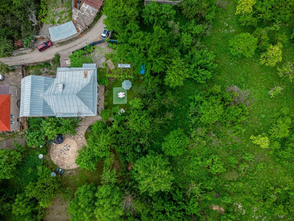 Bird's eye view, Garden view
