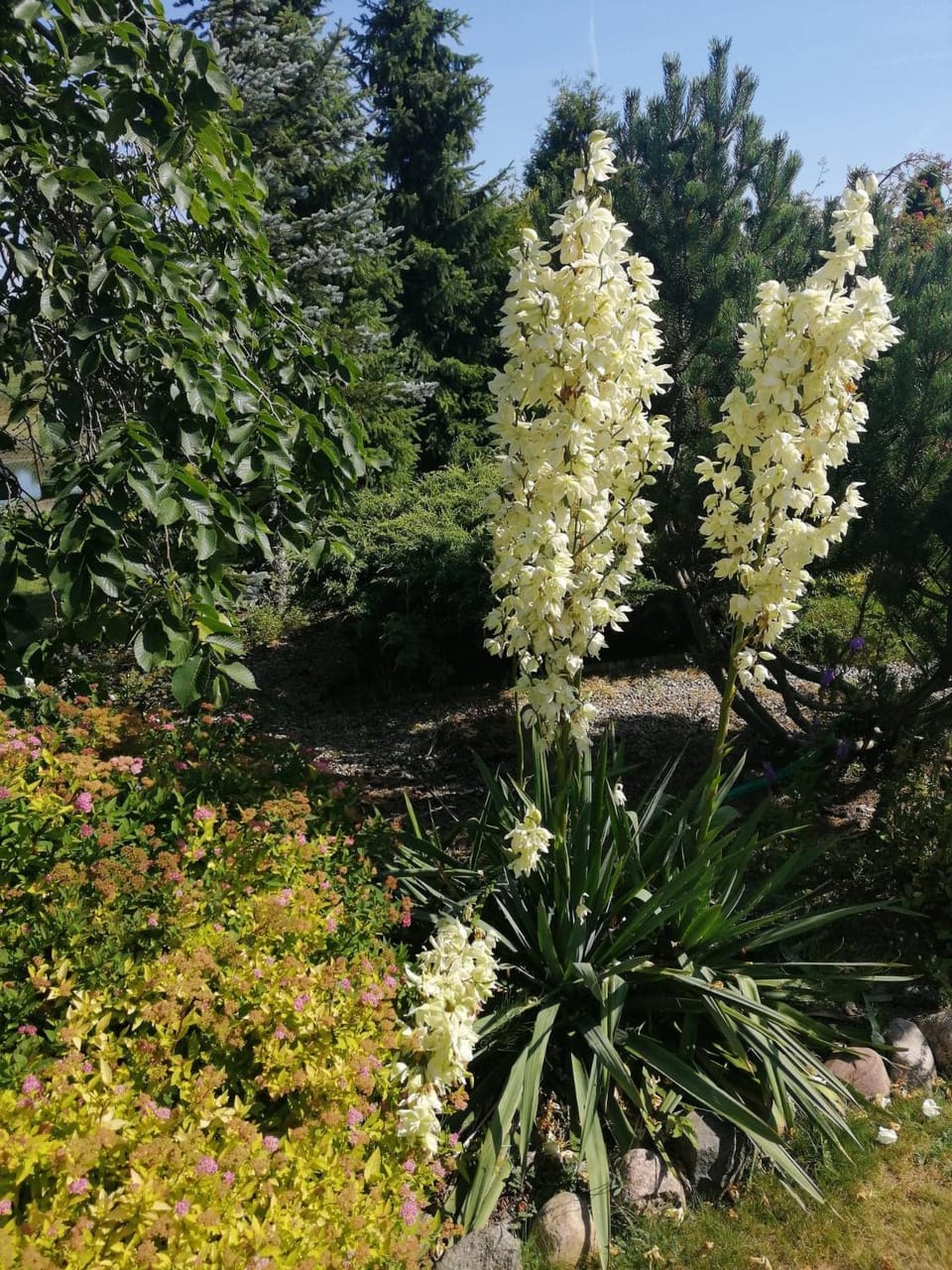 Natural landscape, Garden, Garden view