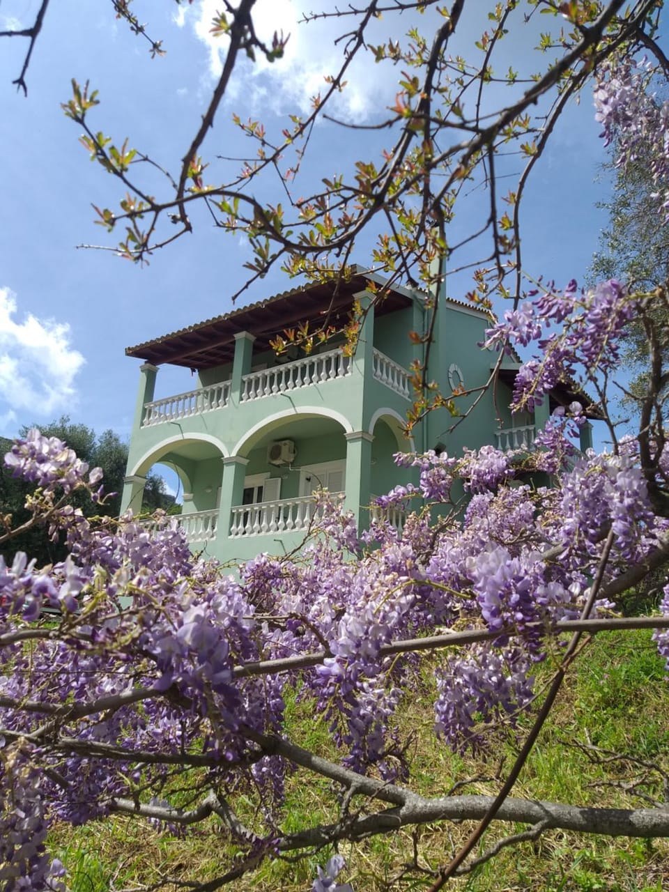 Garden view