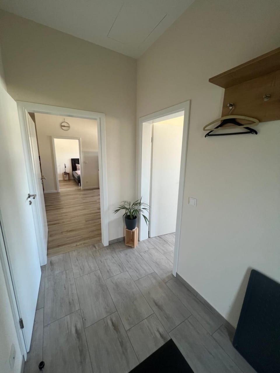 FeWo Murach 1 Apartment in Mainz-Bingen