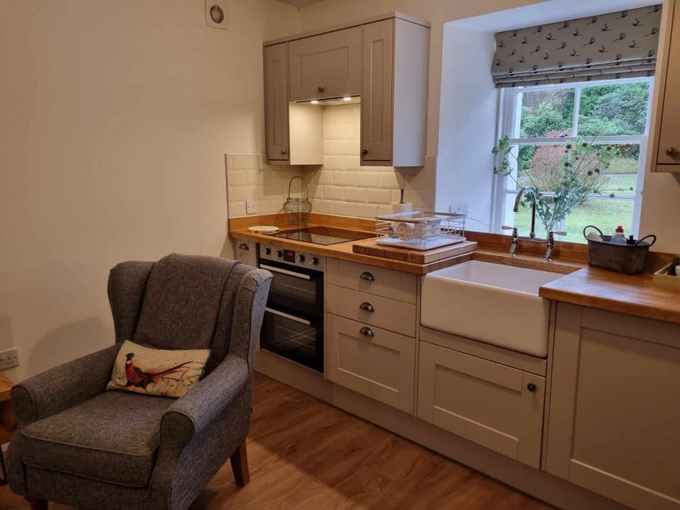 Kitchen or kitchenette, oven, stove