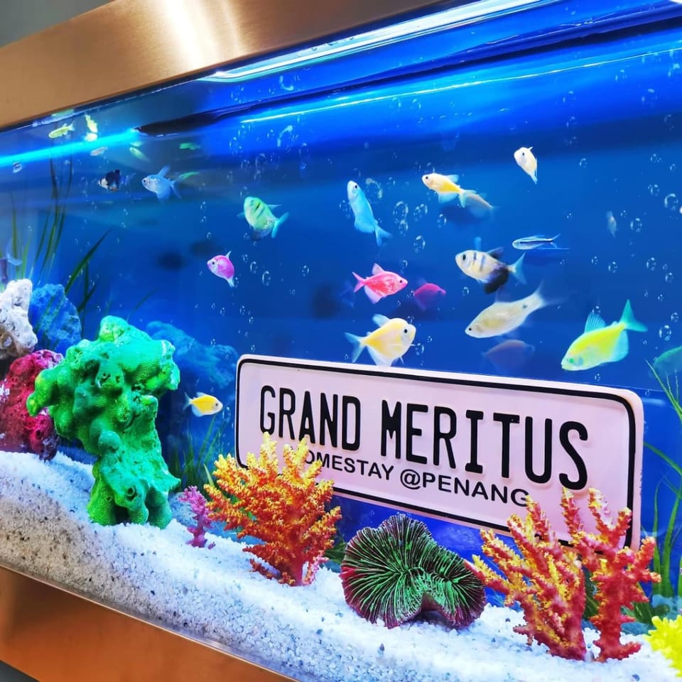 Grand Meritus Homestay @Penang Apartment in Penang