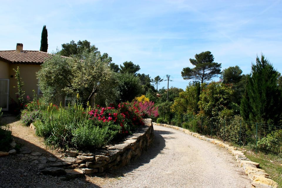 Spring, Day, Natural landscape, Garden, Garden, Garden view