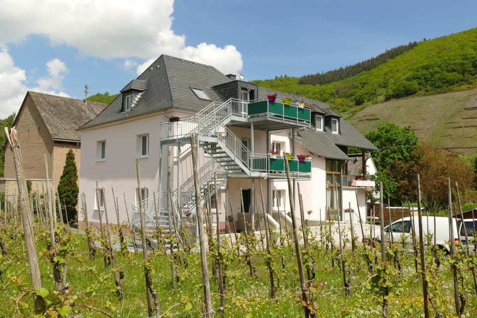 Property building, Spring, Day, Natural landscape, Mountain view