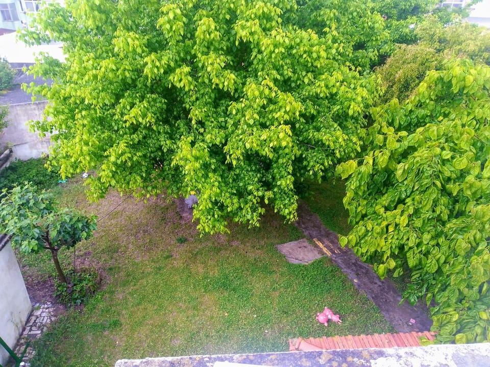 Garden, Garden