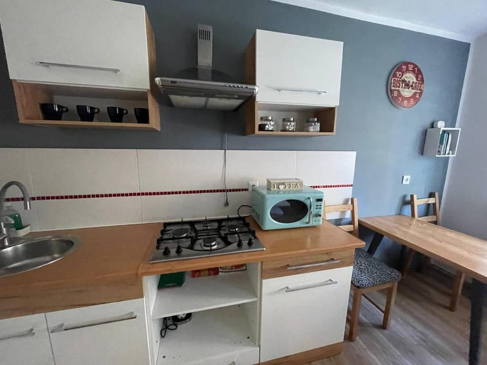 Apartament w Centrum Cichy Zakątek i parking Apartment in Czechia