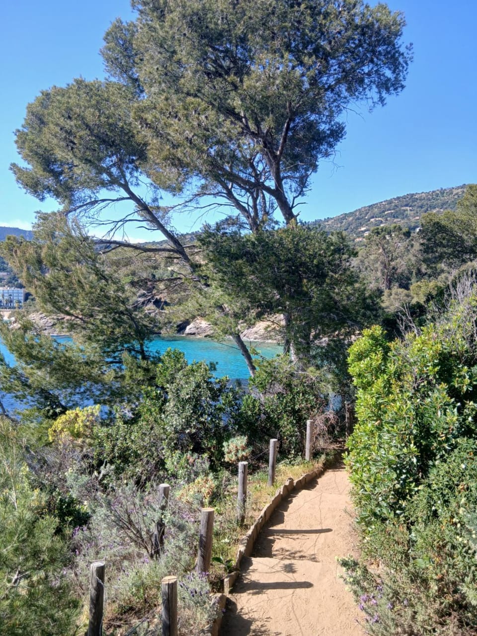 Appartement T2 à la Croix Valmer piscine et tennis Apartment in La Croix-Valmer