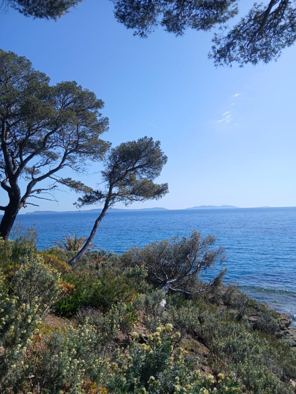 Appartement T2 à la Croix Valmer piscine et tennis Apartment in La Croix-Valmer