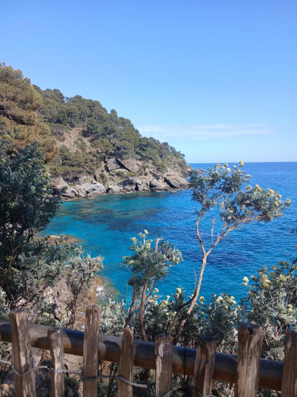 Appartement T2 à la Croix Valmer piscine et tennis Apartment in La Croix-Valmer
