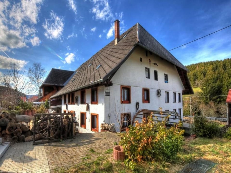 Schwarzwaldhaus Krebs - Peter Lustig, Lenzkirch, Feldberg Apartment in Baden-Württemberg