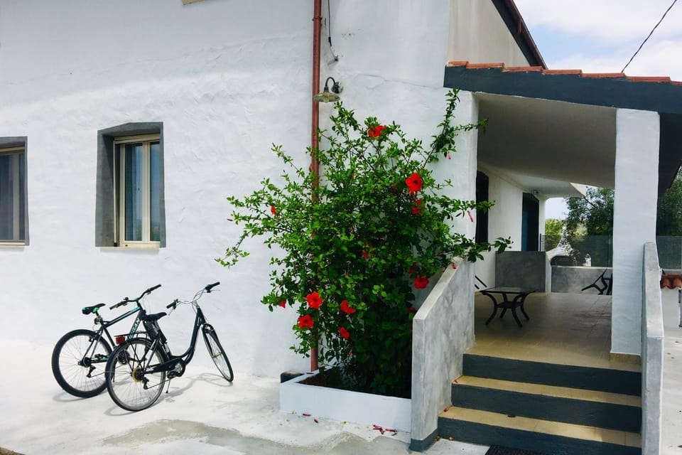 Villa Cedrino Orosei House in Sardinia