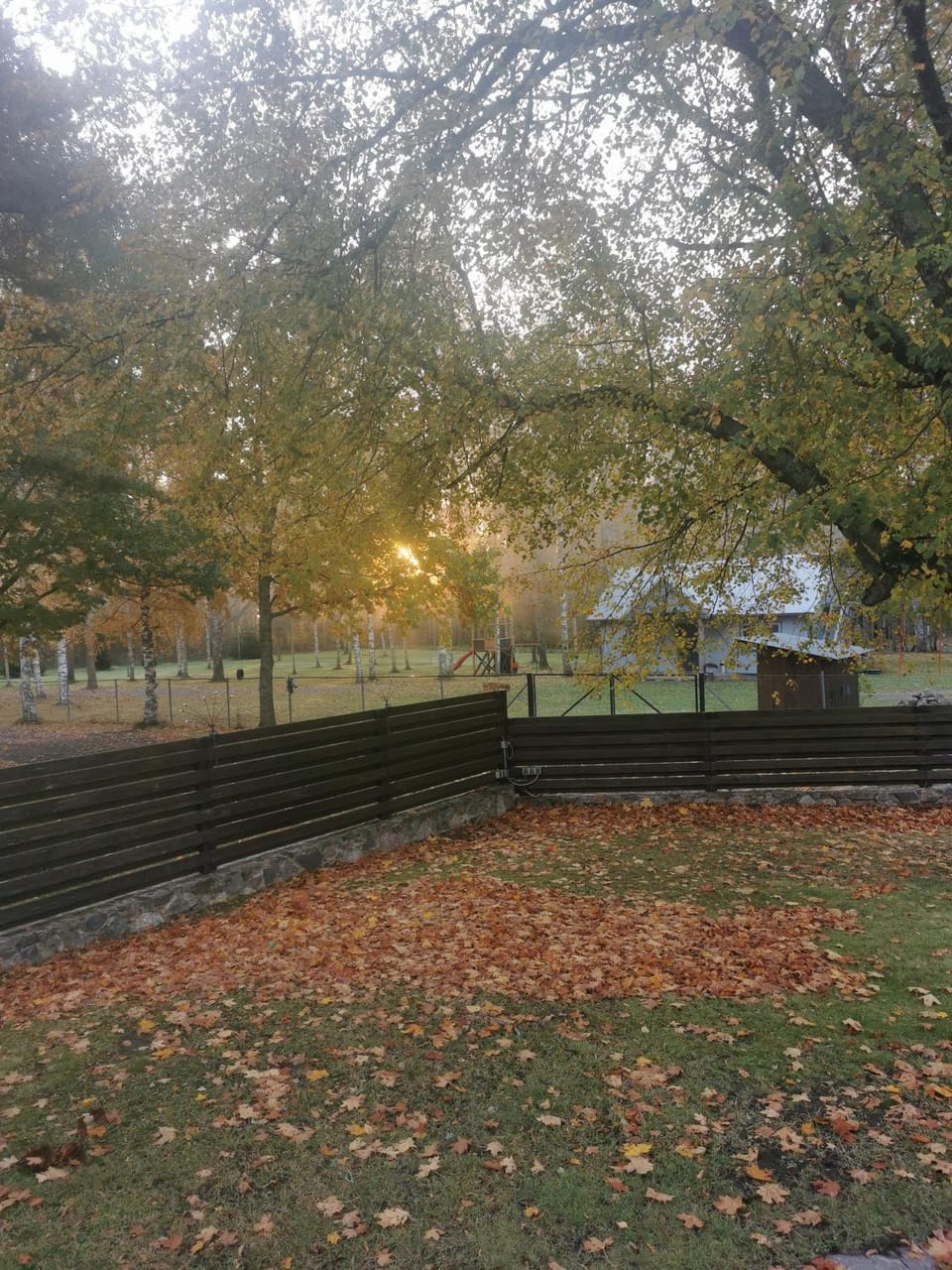 Natural landscape, Garden, Autumn, Garden view