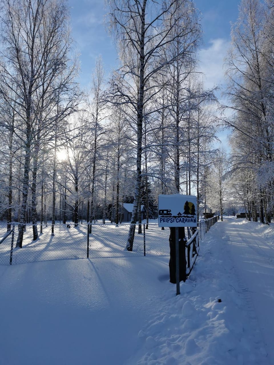 Property logo or sign, Natural landscape, Winter