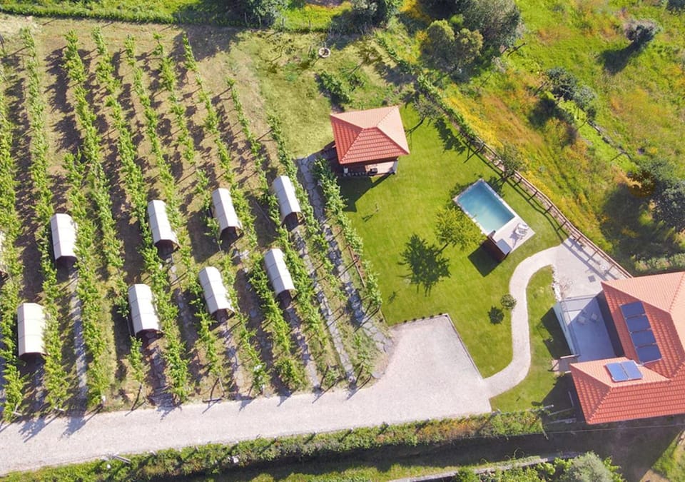 Property building, Bird's eye view