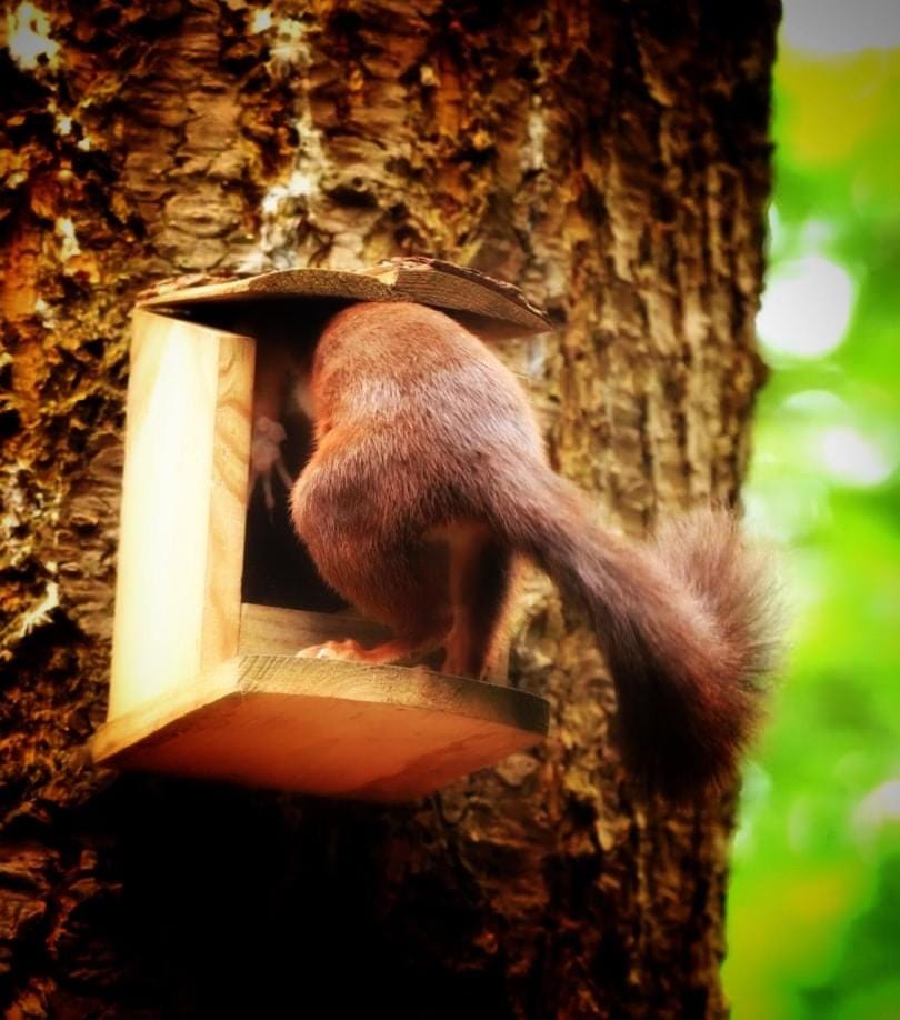 Maison des M House in Wallonia, Belgium