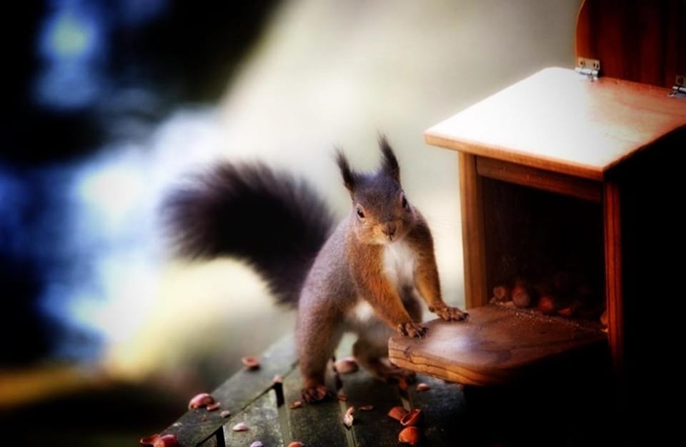 Maison des M House in Wallonia, Belgium