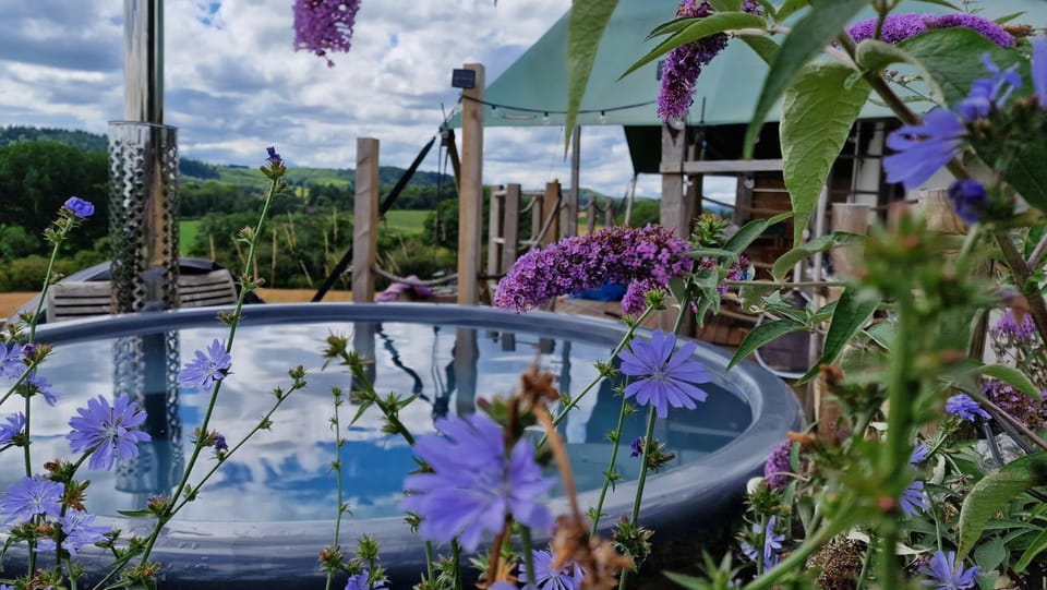 Hakuna Matata Safari Lodge - Sublime, off-grid digital detox with hot tub Luxury tent in Malvern Hills District