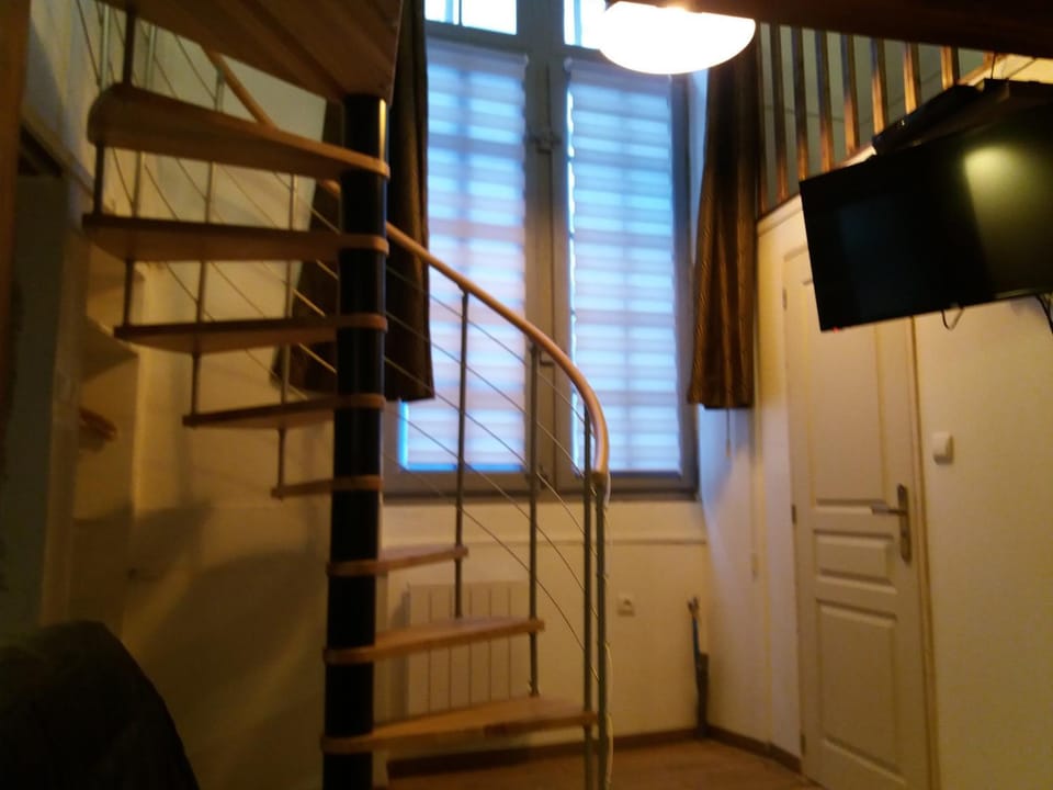 Studio la Nuit au Coeur de ville Apartment in Occitanie