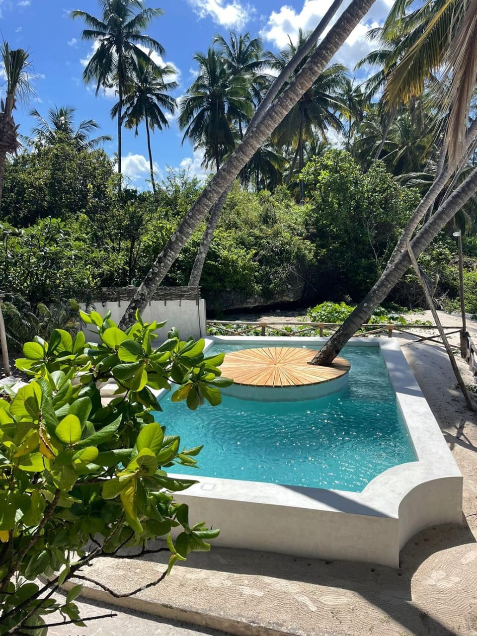 Swimming pool, Swimming pool