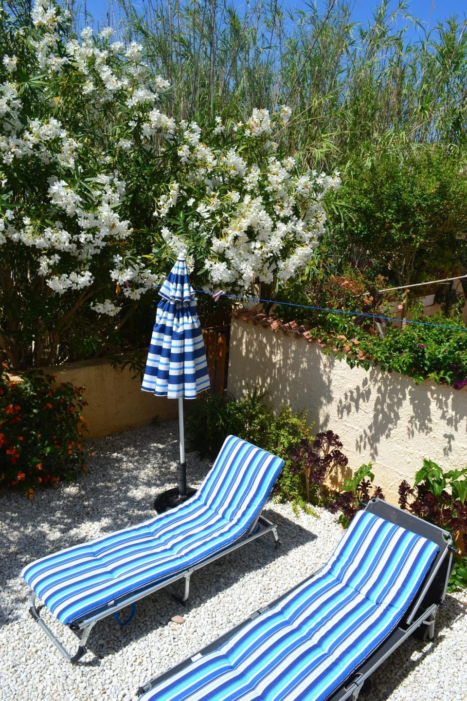 Balcony/Terrace, sunbed