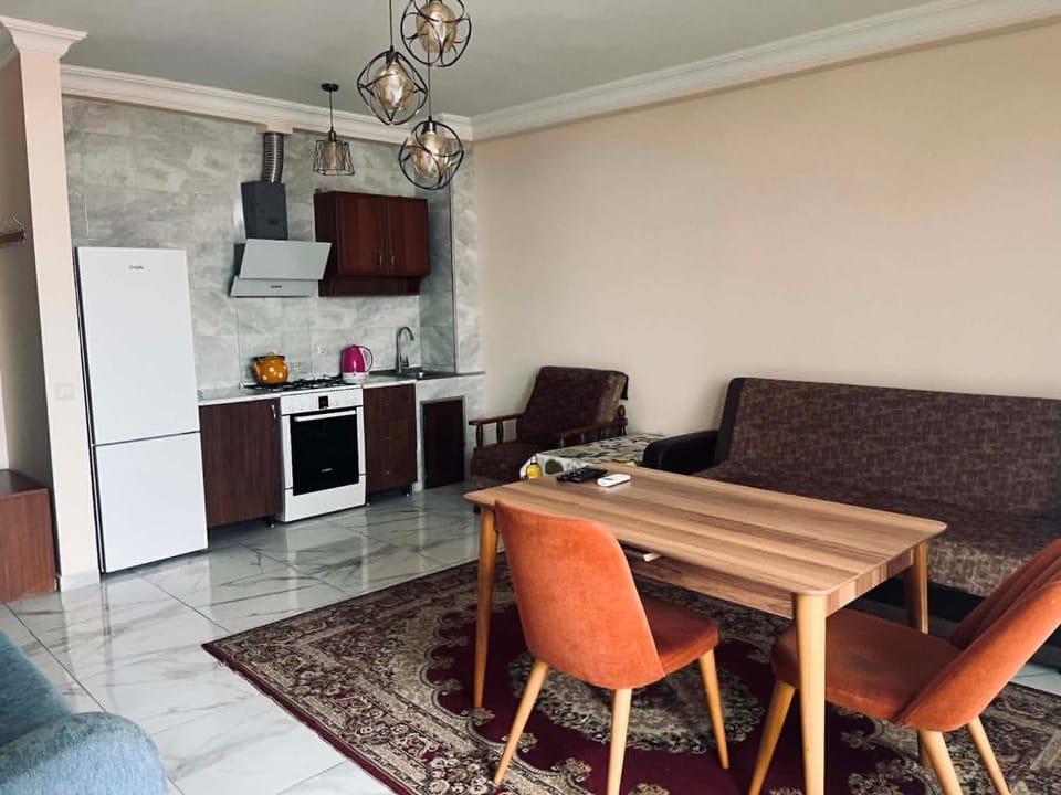Kitchen or kitchenette, Living room, Seating area, Dining area, oven