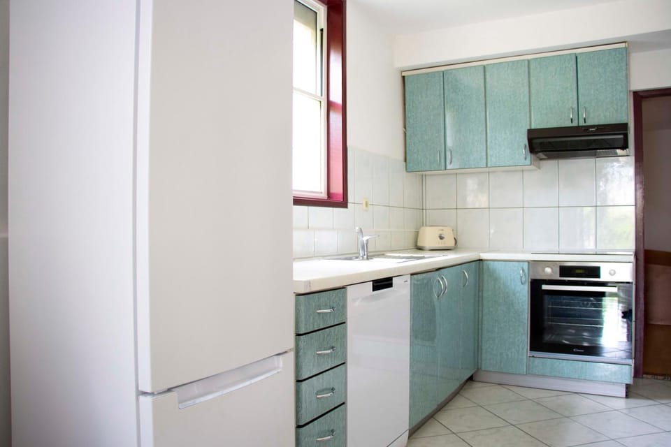 Kitchen or kitchenette, dishwasher, oven, stove