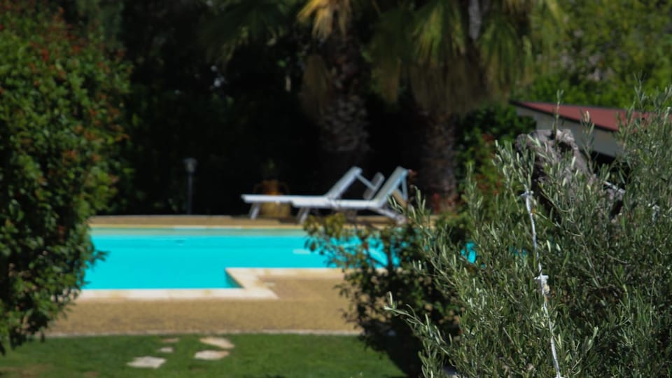 Garden view, Pool view, Swimming pool, sunbed