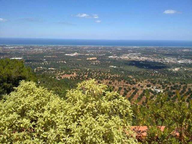 Natural landscape, Sea view