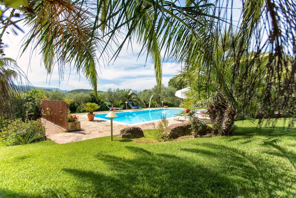 Day, Natural landscape, Garden, Garden view, Pool view, Swimming pool, sunbed